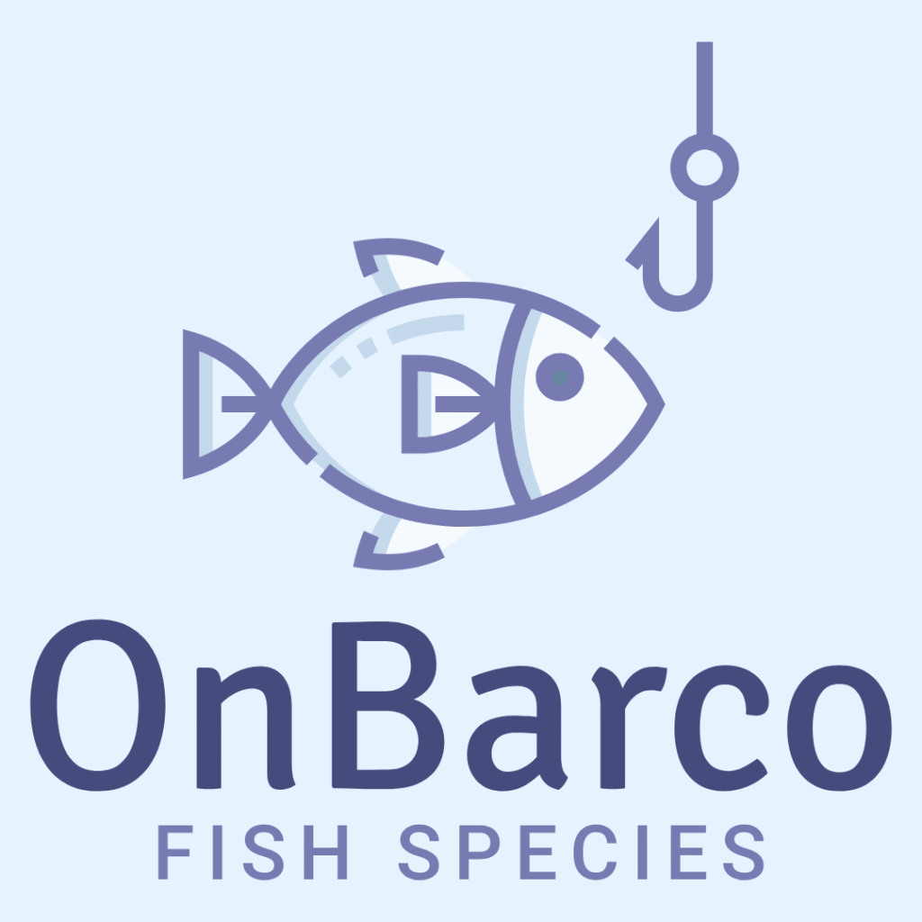 Fish Species - Onbarco