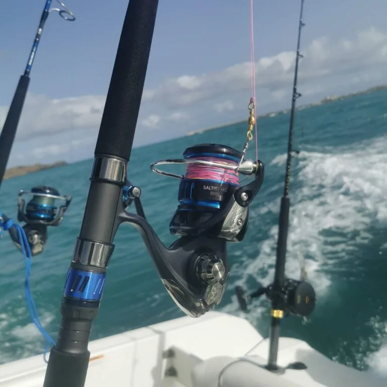 Jigging gears saltist MG 800 Daiwa