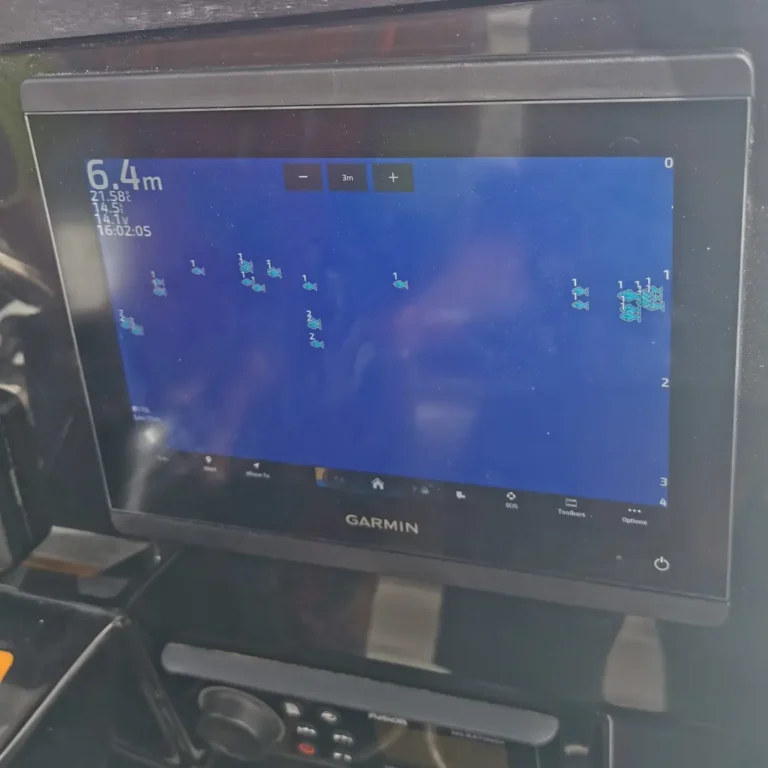 Fishing sonar